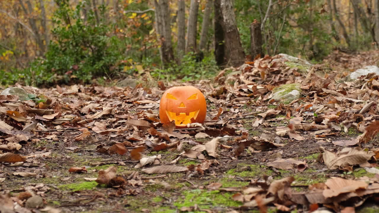 halloween espeluznante calabaza sonriente y hojas movidas por el viento en el bosque