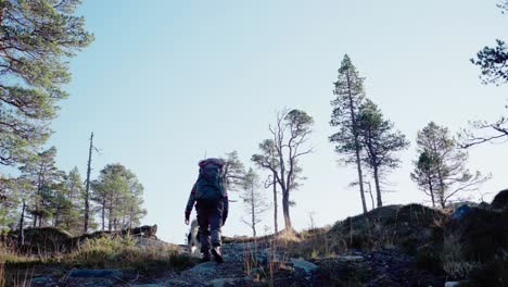 male backpacker with his dog hiking in hildremsvatnet, norway - wide