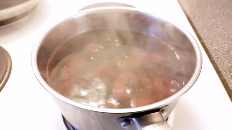 healthy vegan cooking vegetables in boiling water on stove in kitchen