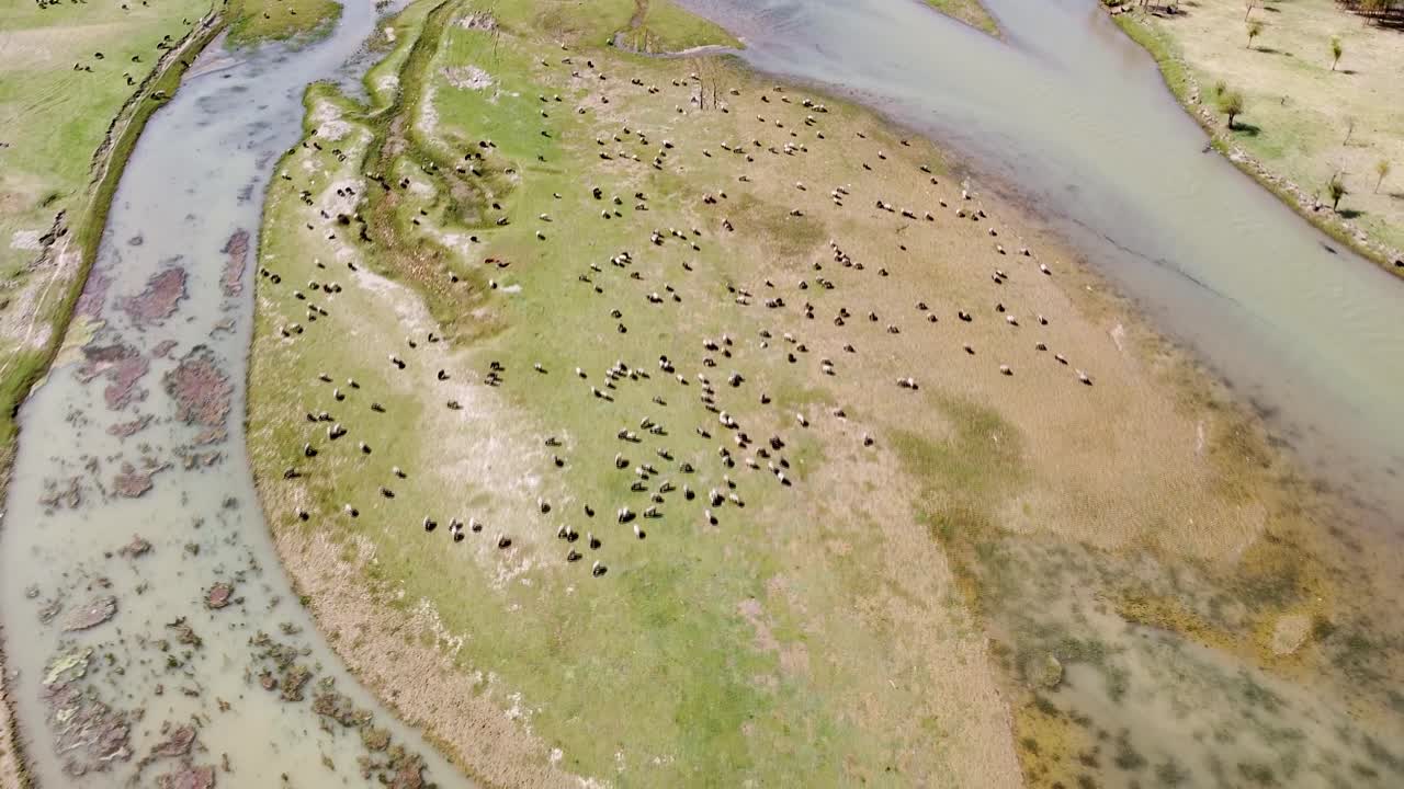 재고 영상 항해