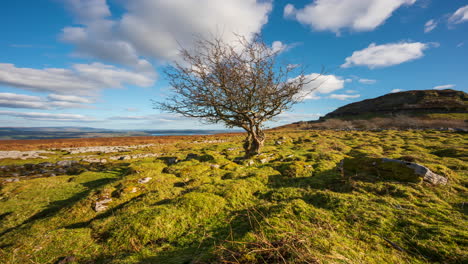 panorama motion timelapse of rural nature farmland with single tree and field ground rocks in the foreground during spring sunny day viewed from carrowkeel in county sligo in ireland