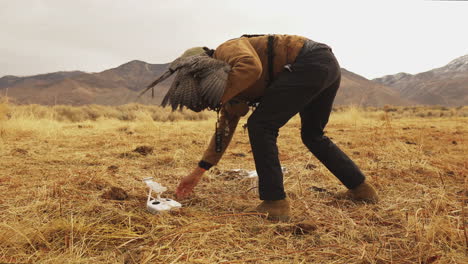 Falcon-Training-With-A-Drone-And-Pigeon-In-Dry-Land-With-Mountains