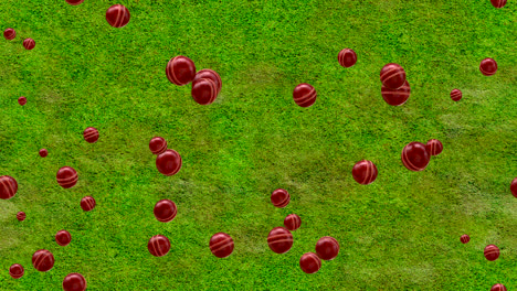 cricket ball bounce background loop-tile