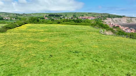coast of robin hoods bay