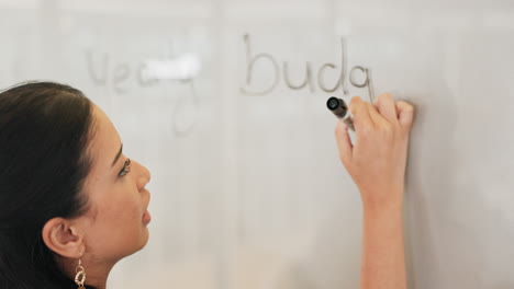 Whiteboard,-Finanzen-Und-Geschäftsfrauplanung