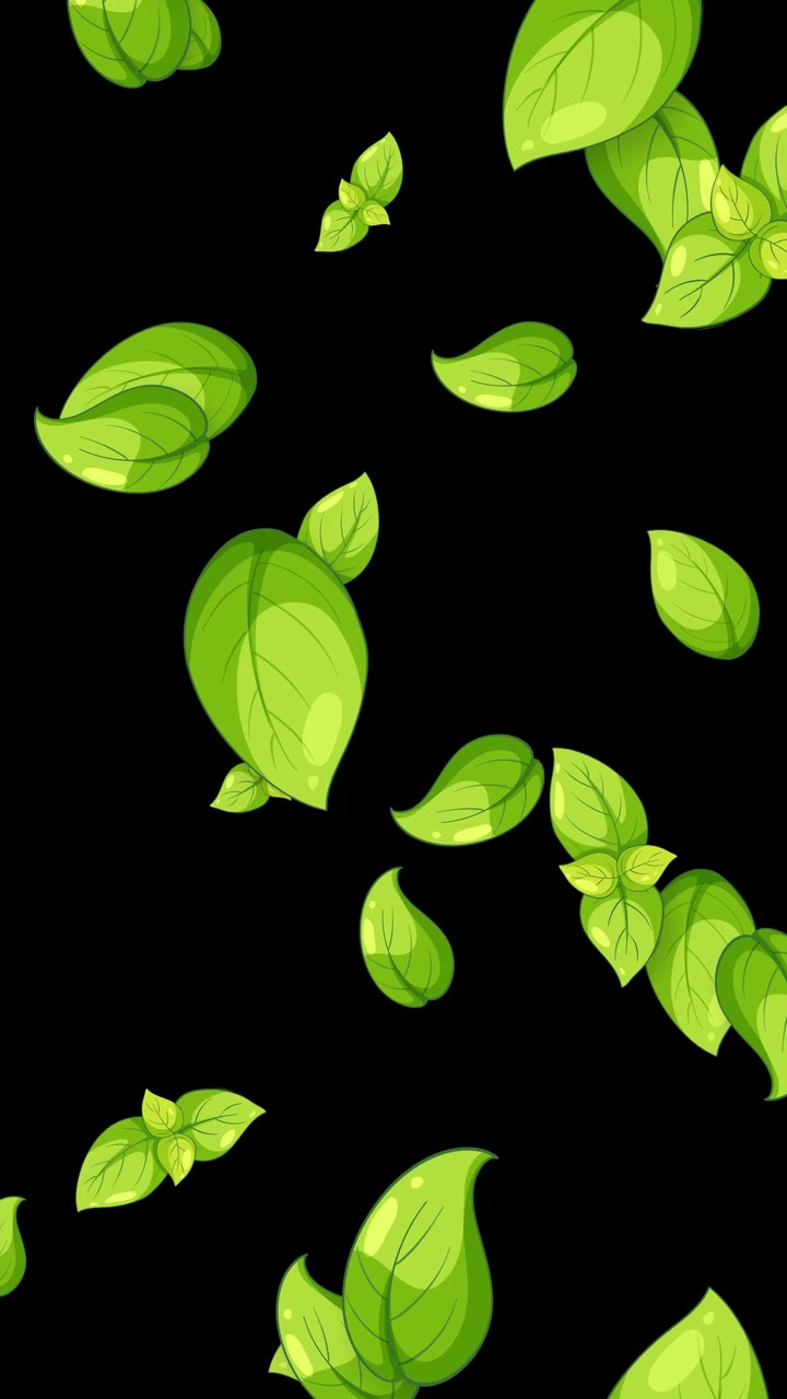 Vivaci foglie di basilico verde cadono e rotolano attraverso uno spazio nero in un loop verticale.