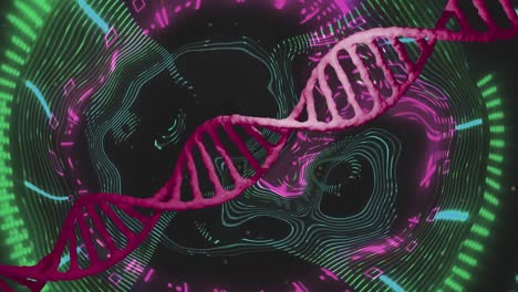 la rotación de la cadena de adn roja sobre las luces de carga de datos distorsionados