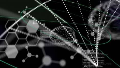 Animation-Des-Symbols-Des-Menschlichen-Gehirns,-Der-DNA,-Der-Molekularen-Und-Chemischen-Strukturen-Vor-Schwarzem-Hintergrund