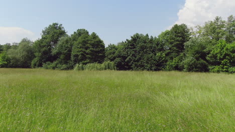 Dollying-aerial-drone-footage-panning-across-a-beautiful-green-field-with-long-grass-and-trees