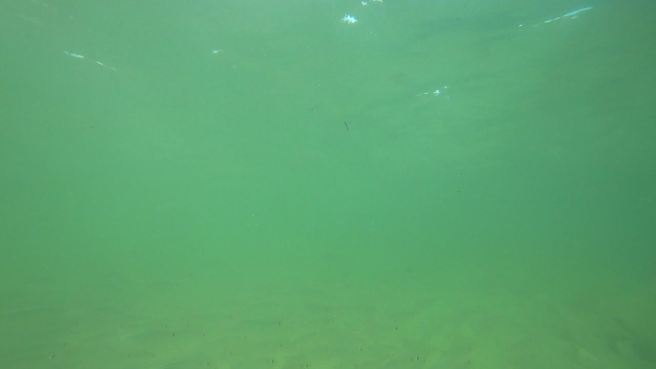 멕시코 마하후알 해변 근처의 놀라운 쇼어