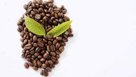 roasted coffee beans with coffee leaves