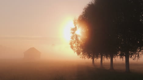 golden sunrise peaking through dense mystical foggy morning landscape