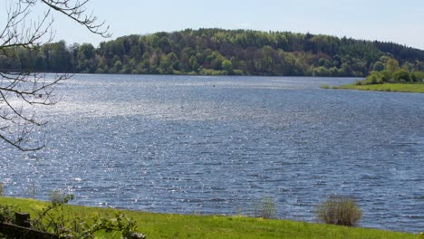 wide shot looking west of ogston water reservoir with vegetation in foreground taken at the north car park