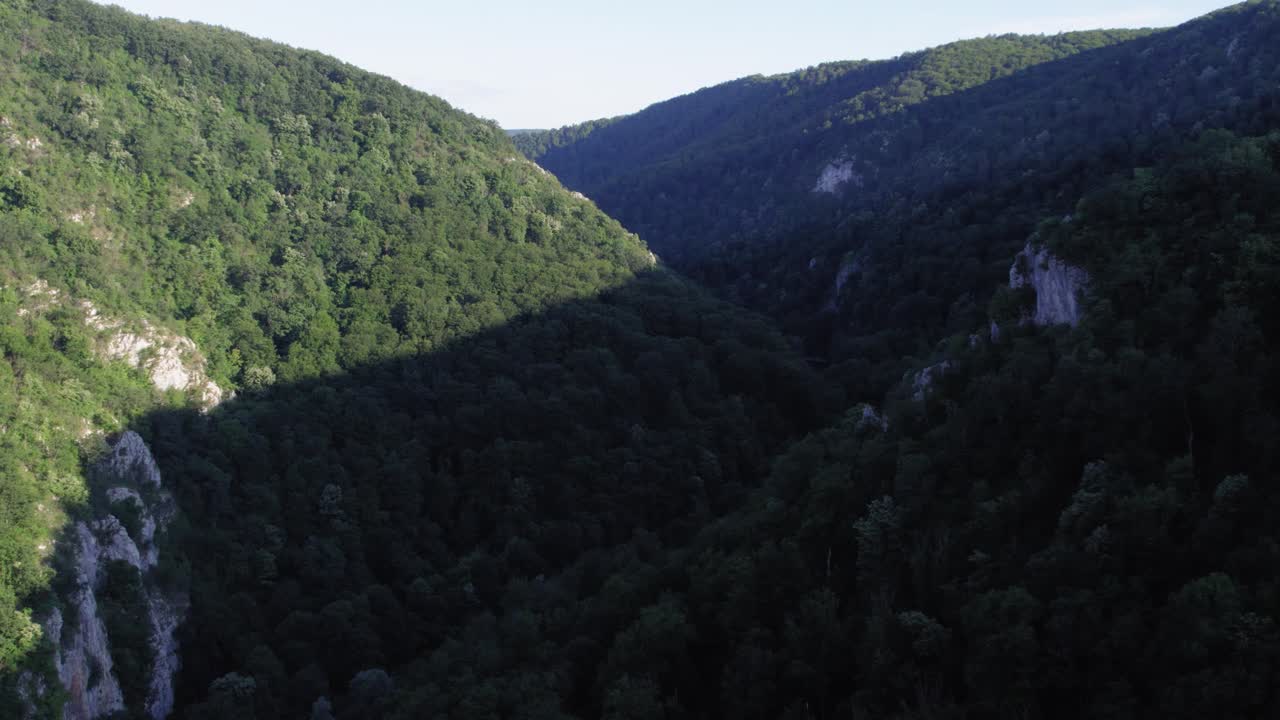 bosque en pequeñas montañas en un valle creado por un río, aérea