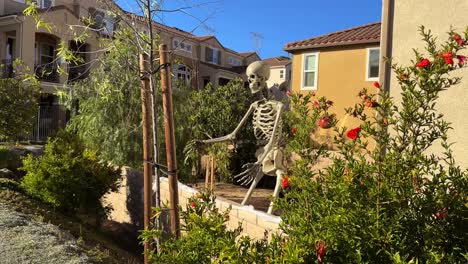 Large-scale-skeleton-in-neighborhood-backyard-for-Halloween