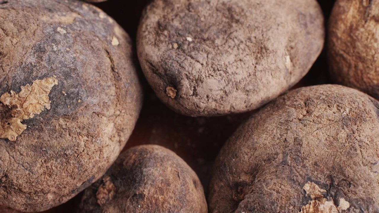 Primo piano di patate crude non lavate con terra