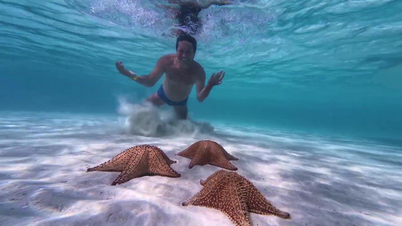 Uomo che si immerge sott'acqua per osservare stelle marine che riposano sul fondale sabbioso nelle limpide acque caraibiche di Los Roques, Venezuela.