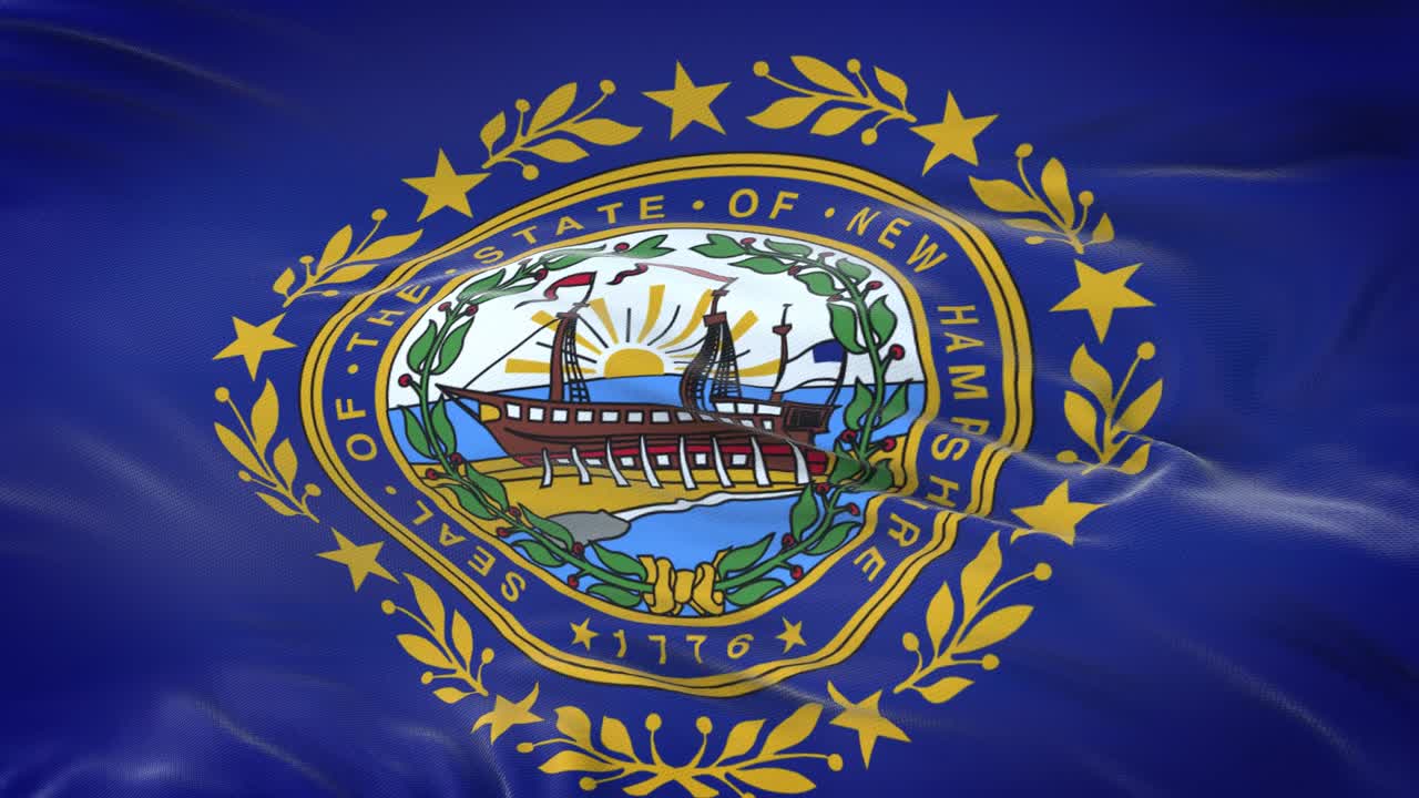 bandera de new hampshire (estado de los estados unidos) ondeando en el viento con una textura de tela muy detallada. bucle sin costuras