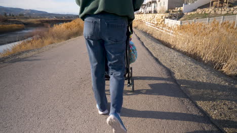 A-mother-or-grandmother-pushing-a-baby-stroller---rear-view-slow-motion