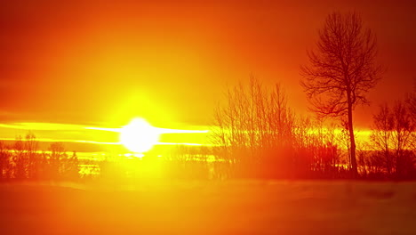 Super-bright-orange-sunrise-behind-silhouette-of-trees-and-bushes,-fusion-time-lapse