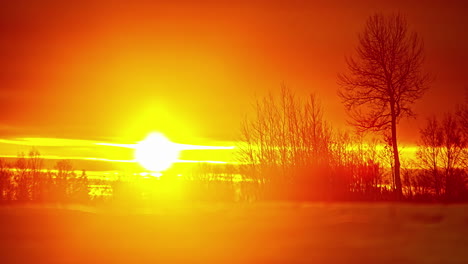 super bright orange sunrise behind silhouette of trees and bushes, fusion time lapse