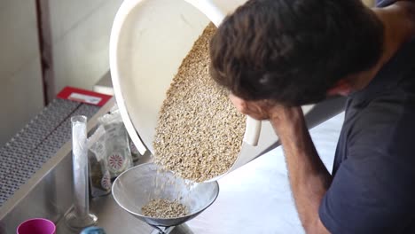 Slow-motion-shot-of-man-pouring-barley-onto-a-scale-for-weighing