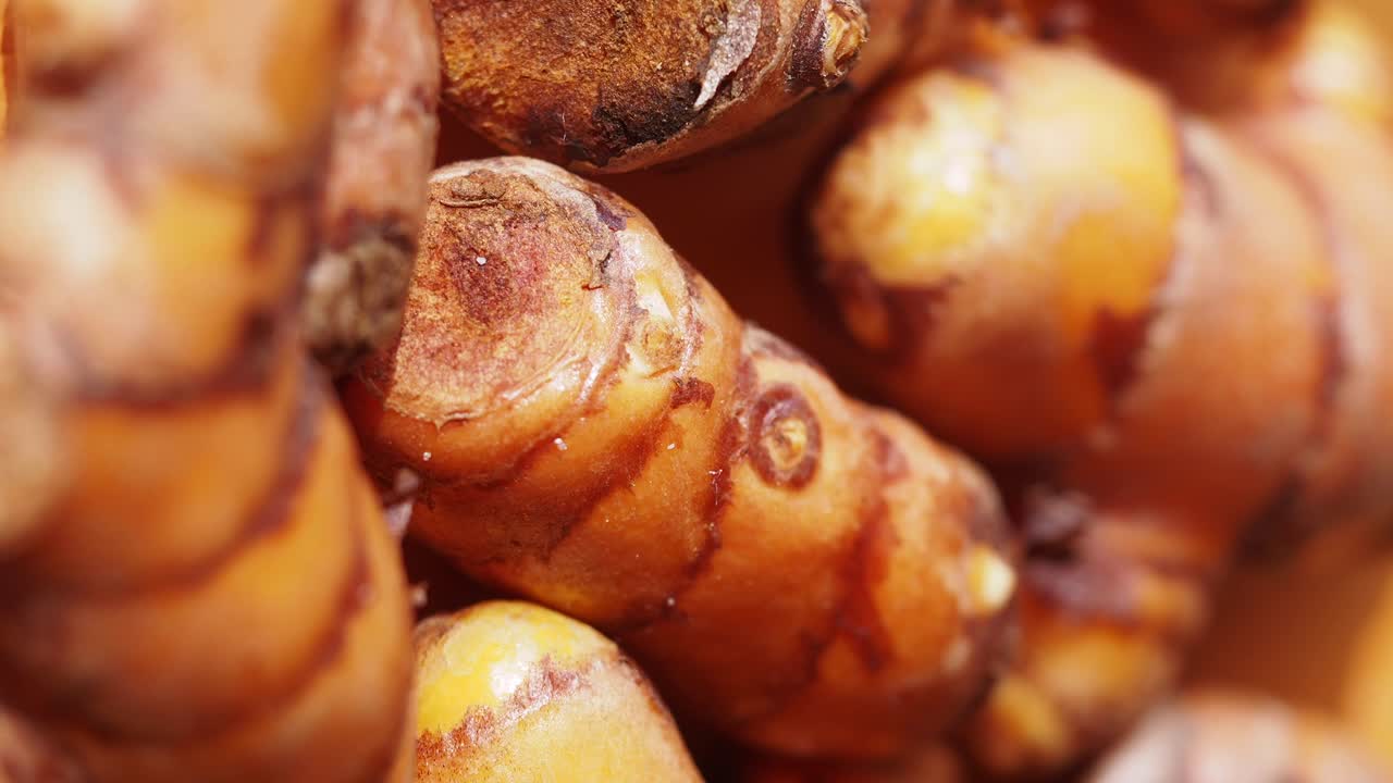 Close-up of Fresh Turmeric Roots