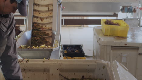 working equipment of a small family winery