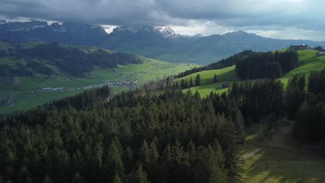 Toma-Aérea-De-Un-Bosque-Y-Montañas-Alpes