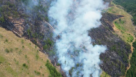 aerial view of a forest fire with heavy smoke and burnt landscape