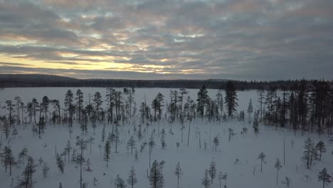 The-frozen-forest-near-Kuusamo-in-Lapland,-Finland