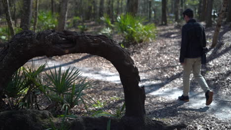 Uniquely-formed-tree-along-a-pathway-with-a-hiker-walking-on-the-trail-with-a-camera---slow-motion