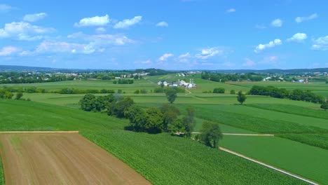 aerial view of green textured farmlands growing corn and other vegetables on a beautiful summer day