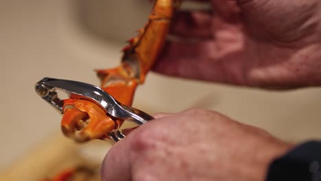 person using a cracking tool on a crab claw.