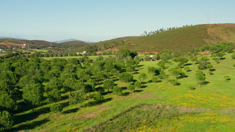 Aerial:-Agriculture-in-the-Algarve,-Portugal