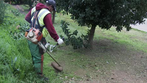 council worker cutting grass and weeds on the road verge using a weed eater