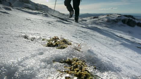 hiker-climbing-snowy-mountain-with-wind-blowing-snow---Ben-Resipol---Scotland