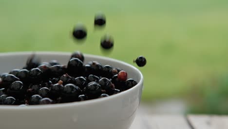 Reife,-Schwarze-Johannisbeeren,-Die-In-Eine-Schüssel-Fallen,-Zeitlupe