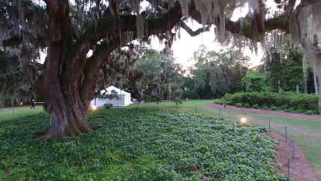 drone shot moving away from the airlie oak tree in wilmington, nc