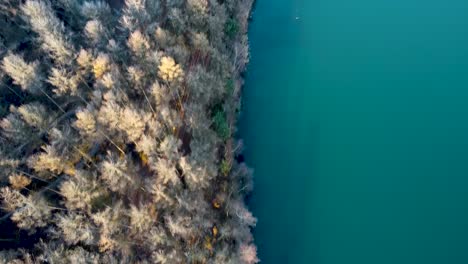 Hielo-Y-Nieve-En-Los-árboles-Con-Aguas-Azules-Claras-En-El-Lago