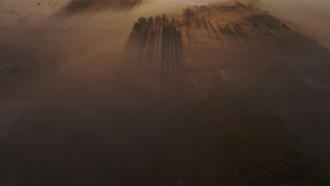 Aerial-view-of-wild-heather-in-countryside-during-foggy-morning,-Netherlands