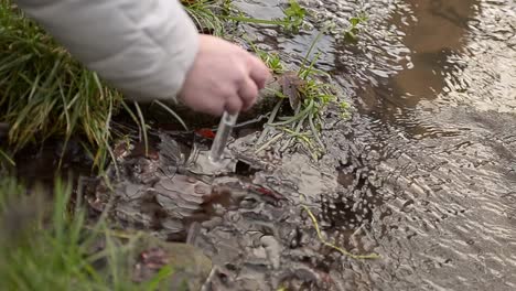 collecting stream water sample with test tube