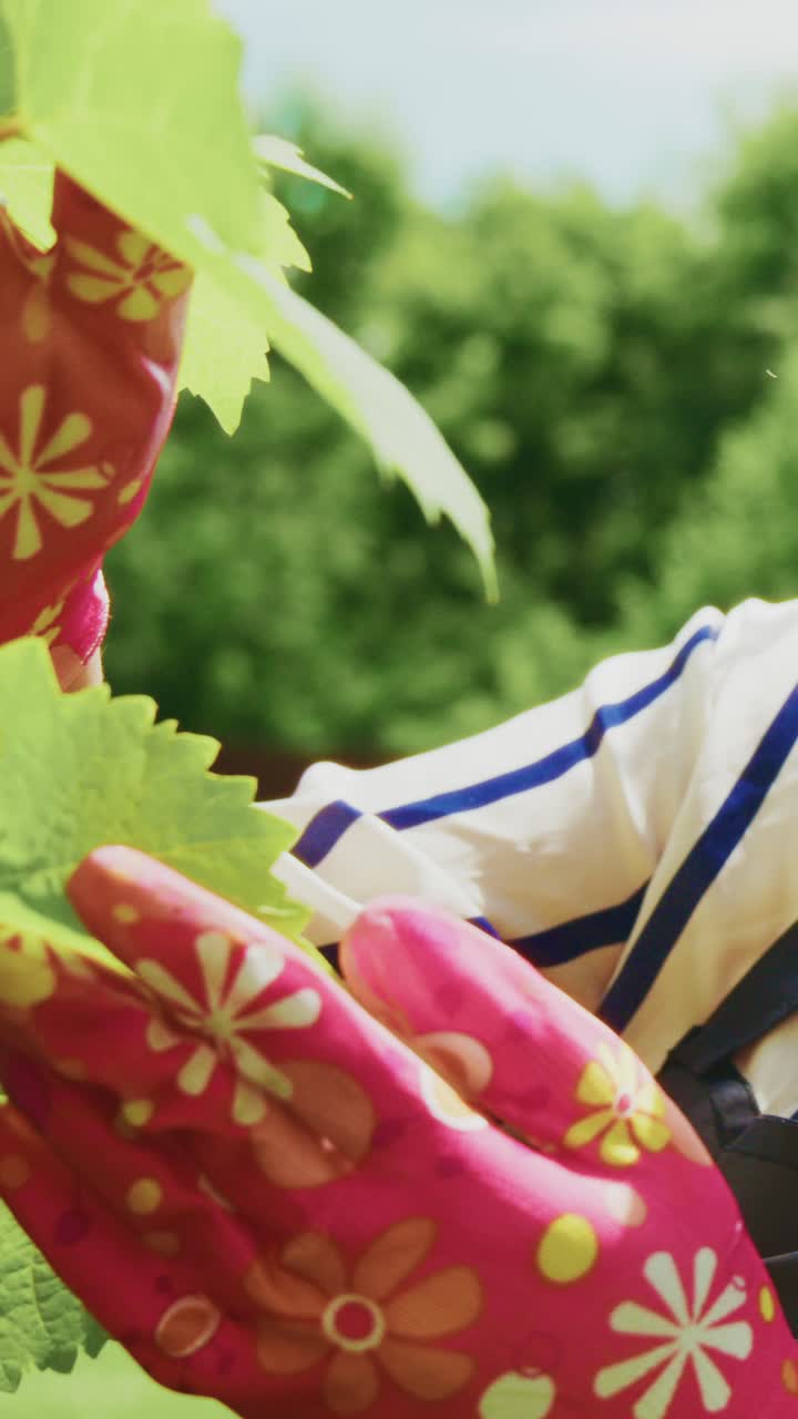A joyful woman in a straw hat smiles while engaging with nature, reflecting a moment of happiness and connection during a sunny day outdoors
