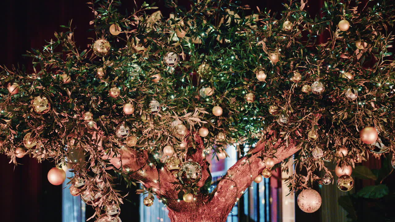Olivo decorato con ornamenti natalizi dorati e luci di Natale di notte