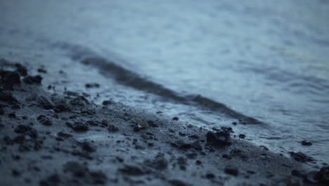 crashing waves hit sea shells in the sand at blue hour, handheld