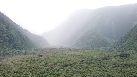 a tranquil green valley stretches beneath towering mist-covered mountains. captured from above, this serene aerial view showcases untouched natural wilderness and calm atmospheric conditions.