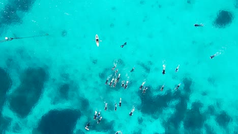 unique high view of snorkelers drifting across the tropical coloured waters of the great barrier reef australia