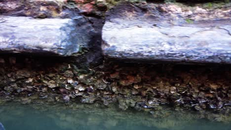 Sailing-Gondola-Boat-In-Grand-Canal-Passing-By-Mossy-Rock-Walls-In-Venice,-Italy