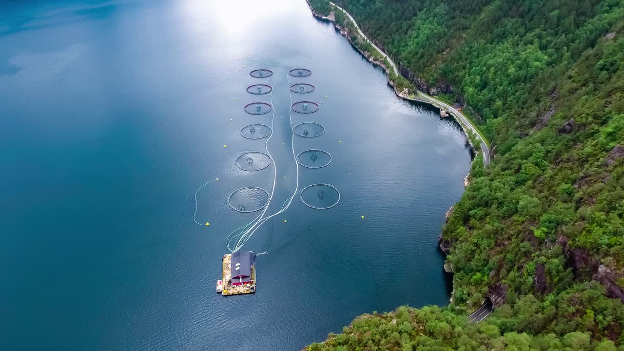 노르웨이에서 연어  ⁇ 시를 하는 공중 촬영