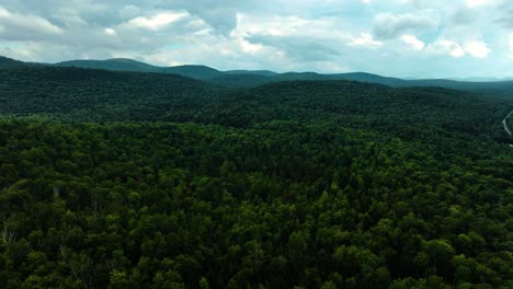 Ozark-blues-early-in-the-morning-in-upstate-New-York